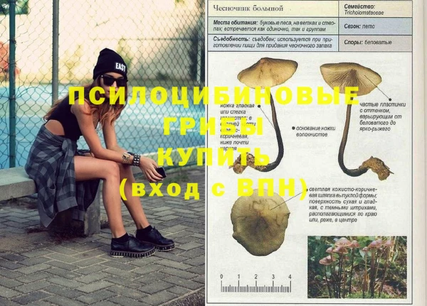 кокаин перу Елабуга
