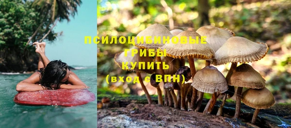 мяу мяу мука Елизово