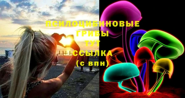 мяу мяу мука Елизово