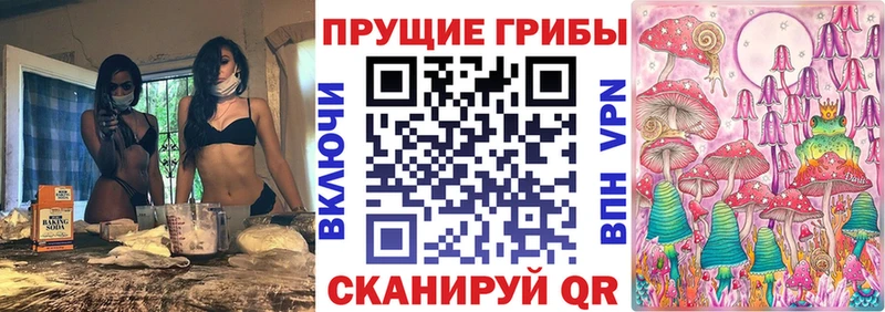 Псилоцибиновые грибы Psilocybine cubensis  Купить закладки  Саки 